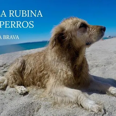 Basic Comfort P.moxo Ed. Star * Empuriabrava